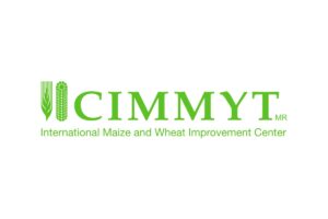 CIMMYT
