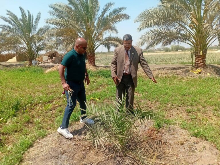 AI-Led Agricultural Intelligence Takes the Field in Egypt